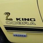 King Cobra