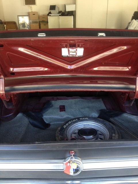 trunk