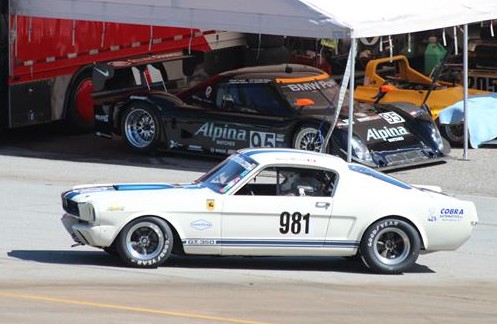 There were a lot of the Mustangs but none seemed to run up to par.